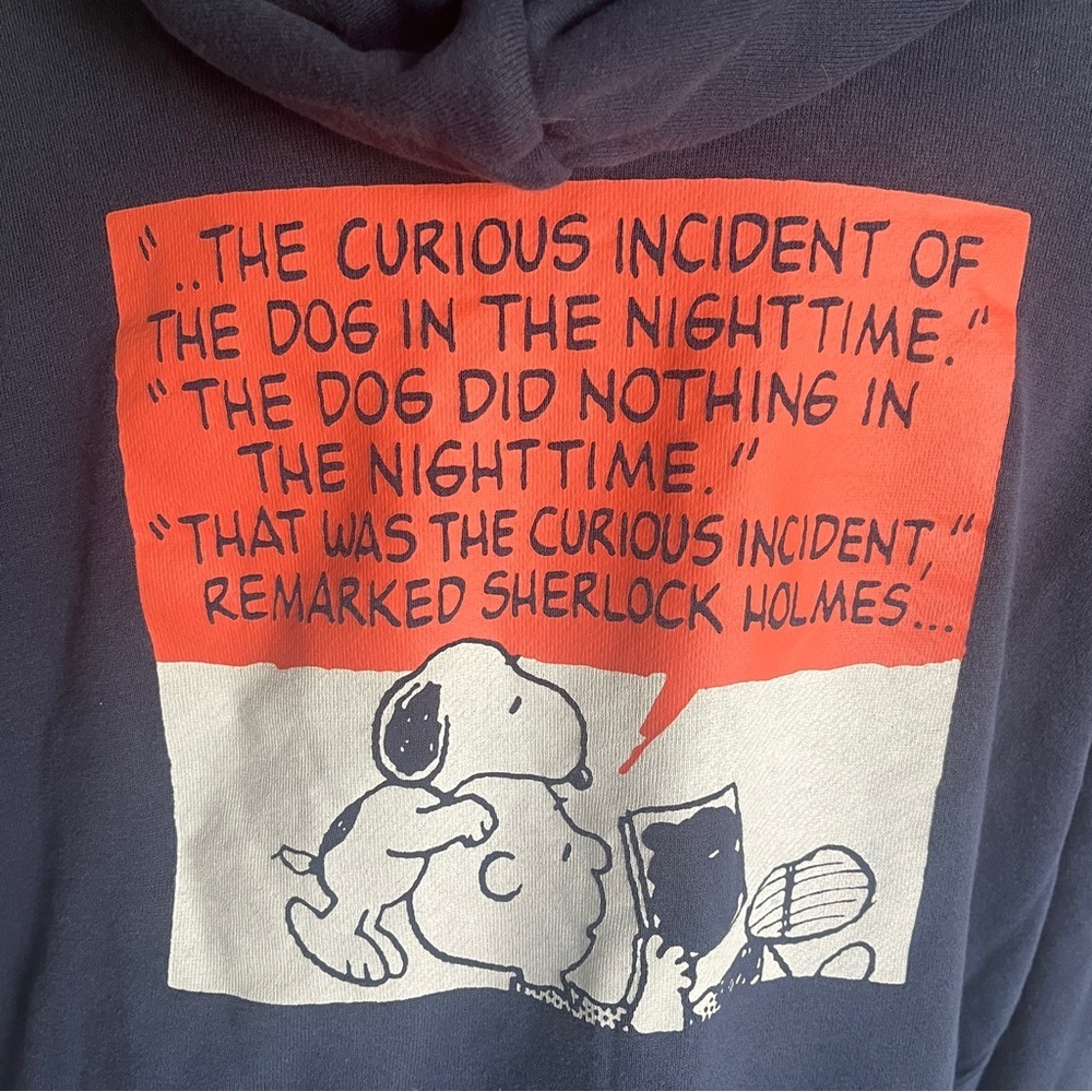 Peanuts x Uniqlo Snoopy and Charlie Brown Pullover Hoodie - Size Large - Picture 5 of 15